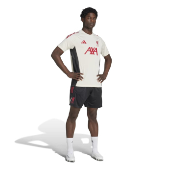 FC Liverpool férfi boxeralsó Tiro Training