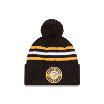 Pittsburgh Penguins téli sapka New Era Cold Winter