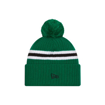 Dallas Stars téli sapka New Era Cold Winter