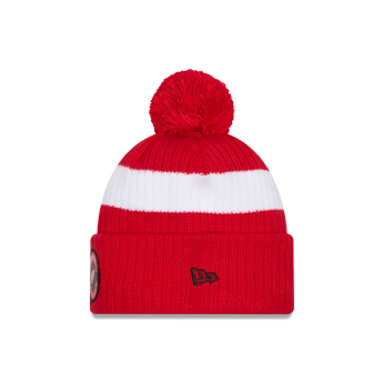 Detroit Red Wings téli sapka New Era Cold Winter