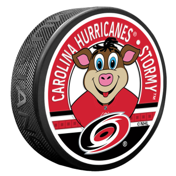 Carolina Hurricanes korong Stormy Mascot Textured