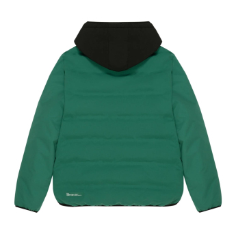 Aston Martin férfi kapucnis kabát Puffy Alonso green F1 Team 2025