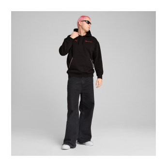 Forma 1 férfi kapucnis pulóver Essential Relaxed Logo black F1 Team 2025