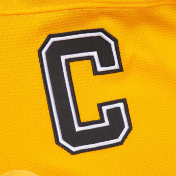 Boston Bruins hoki mez Ray Bourque 1996 NHL Dark Alternate Jersey