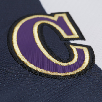 Los Angeles Kings hoki mez Wayne Gretzky 1995 NHL Alternate Jersey