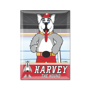 Calgary Flames mágnes Metal Mascot