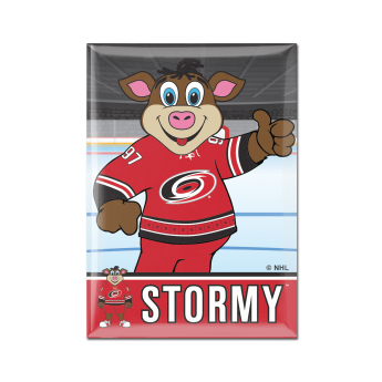 Magnet Carolina Hurricanes NHL Metal Magnet MASCOT