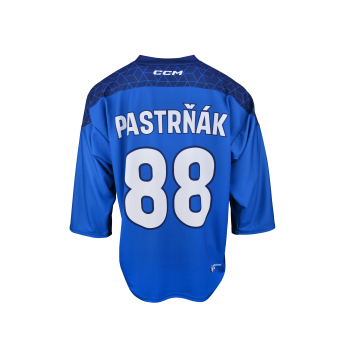 Jégkorong képviselet hoki mez Czech republic David Pastrňák 2025/2026 CCM Fandres replica blue