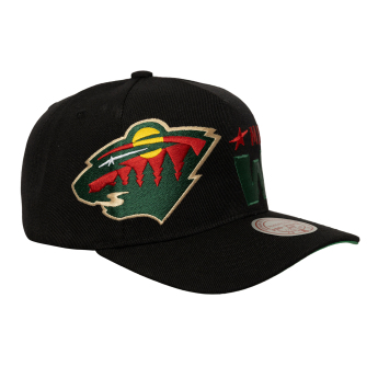 Minnesota Wild baseball sapka Busted Pro Snapback black