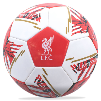 FC Liverpool foci szett water bottle - hand pump - size 5 ball
