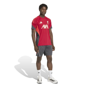 FC Liverpool férfi tréning trikó Tiro red