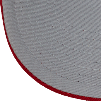 Detroit Red Wings baseball sapka Tailsweeps Pro Snapback