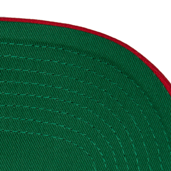 Ottawa Senators baseball sapka Team Ground 2.0 Pro Snapback