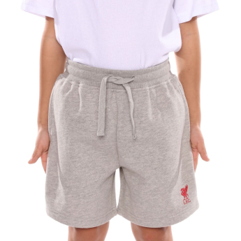 FC Liverpool gyerek rövidnadrág Sweat grey