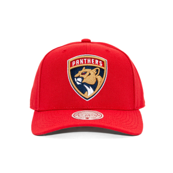 Florida Panthers baseball sapka Ground 2.0 Pro Snapback red
