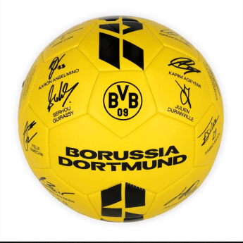 Borussia Dortmund futball labda 25/26 Signature