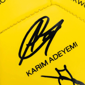 Borussia Dortmund futball labda 25/26 Signature