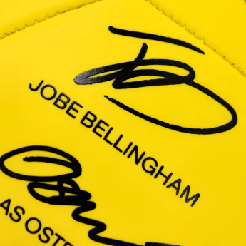 Borussia Dortmund futball labda 25/26 Signature