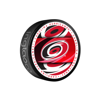 Carolina Hurricanes korong Medallion Souvenir Collector