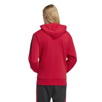 Manchester United férfi pulóver DNA Hoodie