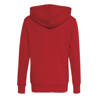 Bayern München gyerek pulóver Hoodie