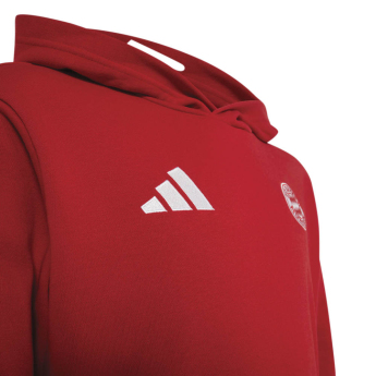 Bayern München gyerek pulóver Hoodie