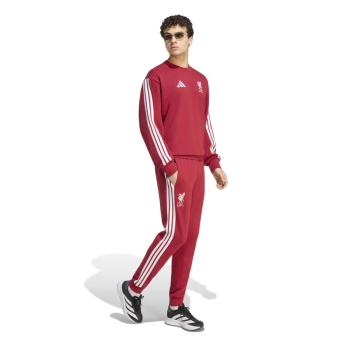 FC Liverpool férfi pulóver DNA Sweat red