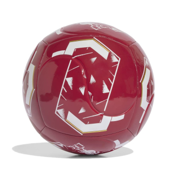 Míč LIVERPOOL FC Club Home active