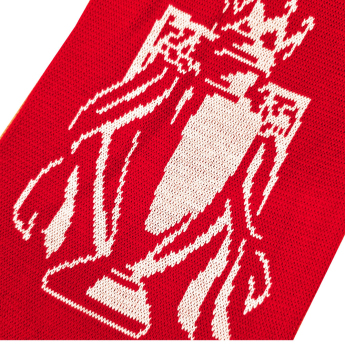 FC Arsenal téli sál Gold Premier League Champions 25/26