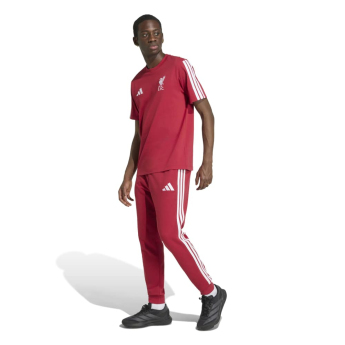FC Liverpool férfi póló DNA Tee active
