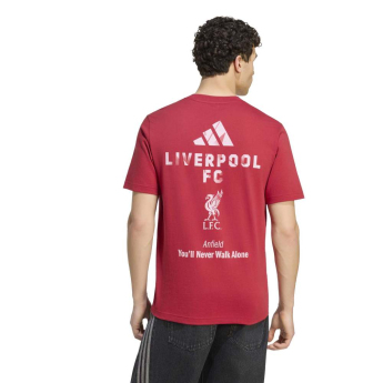 FC Liverpool férfi póló Seasonal red