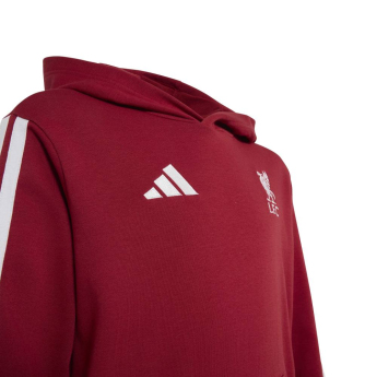 FC Liverpool gyerek kapucnis pulóver Hoody active