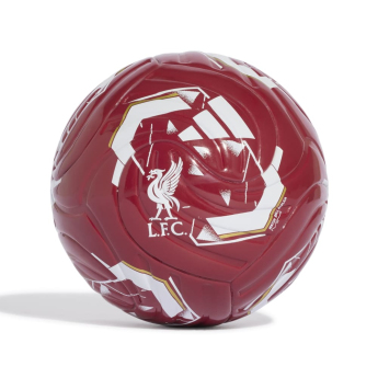FC Liverpool labda Club Home