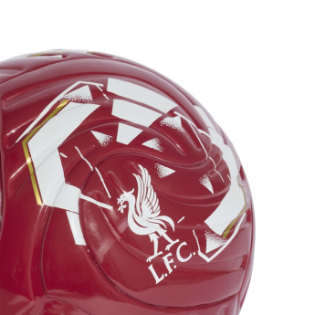 FC Liverpool labda Club Home