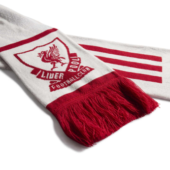FC Liverpool téli sál white