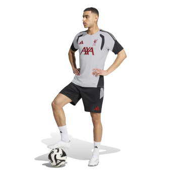 FC Liverpool futball mez Tiro grey