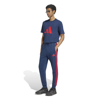 FC Arsenal férfi póló DNA Graphic navy