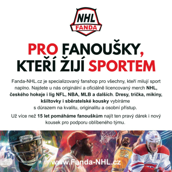 Dallas Stars párna button