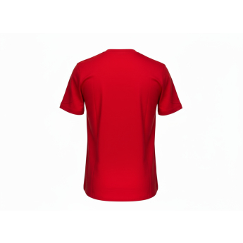 Detroit Red Wings gyerek póló Apro Wordmark Ss Ctn Tee