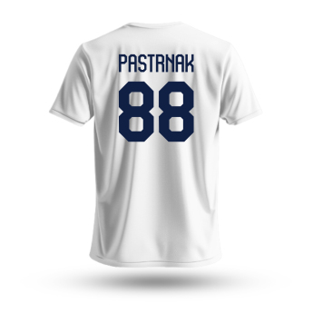 Jégkorong képviselet férfi póló Czech republic David Pastrňák #88 National Emblem 2025 white