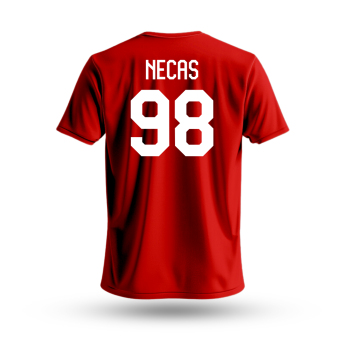 Jégkorong képviselet gyerek póló Czech Republic Martin Nečas #98 National Emblem 2025 red