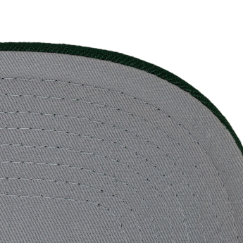 Minnesota Wild baseball sapka Tailsweeps Pro Snapback