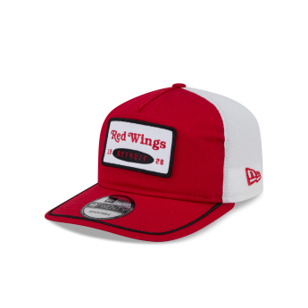 Detroit Red Wings baseball sapka New Era 1920 Emb patch