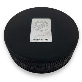 Anaheim Ducks korong Wild Wing Mascot Textured