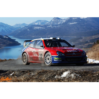 autó és motor modellek modell 1/43 Citroen Xsara WRC Rally Monte Carlo 2003 Carlos Sainz
