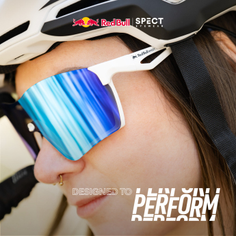 Red Bull Racing napszemüveg STUN, black with brown lenses