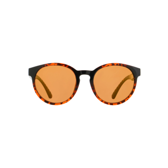 Red Bull Racing napszemüveg EVER brown-black with brown lenses