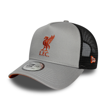 Kšiltovka LIVERPOOL FC 9forty Trucker grey