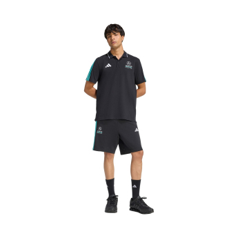 Mercedes AMG Petronas pólóing DNA black F1 Team 2026