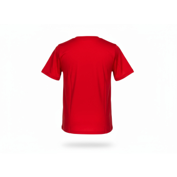 Chicago Blackhawks gyerek póló Apro Wordmark Ss Ctn Tee red